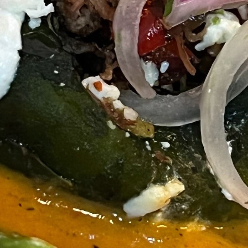 Naked Chile Relleno with Barbacoa.
